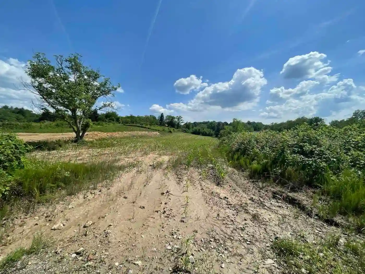 plac na prodaju Sremska Kamenica 4120m2 529448
