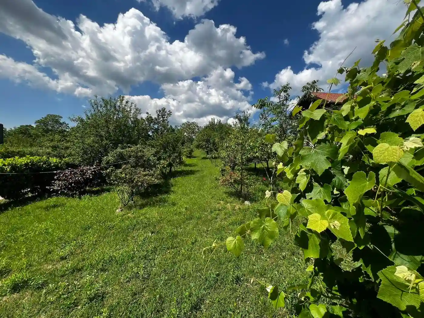 kuca na prodaju Čortanovci 179m2 529464