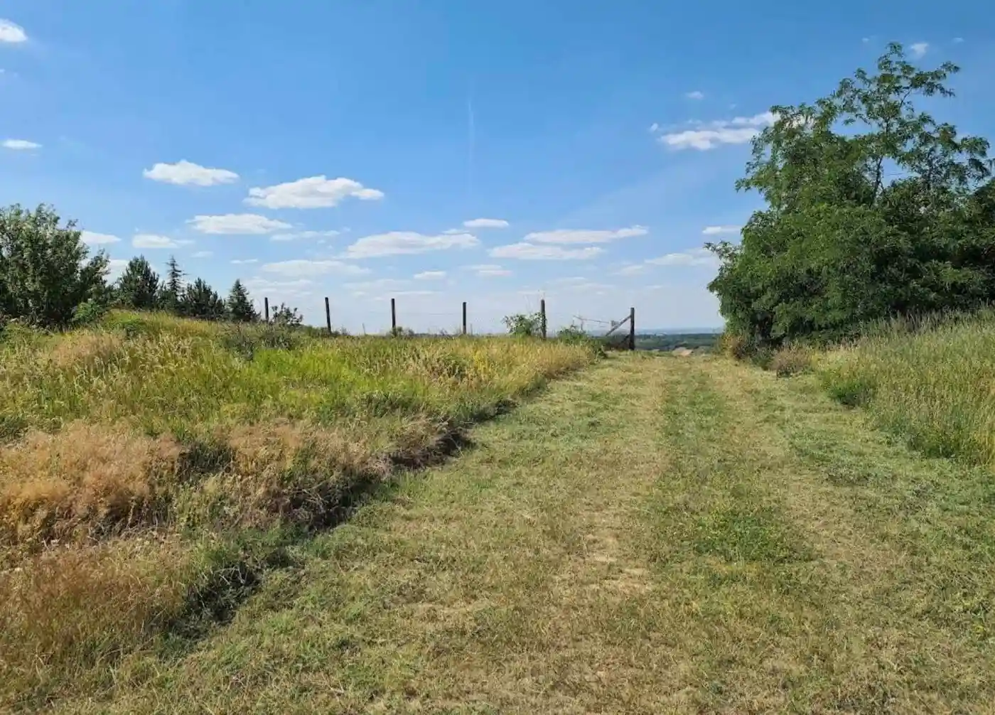 plac na prodaju Bukovac 4104m2 529196