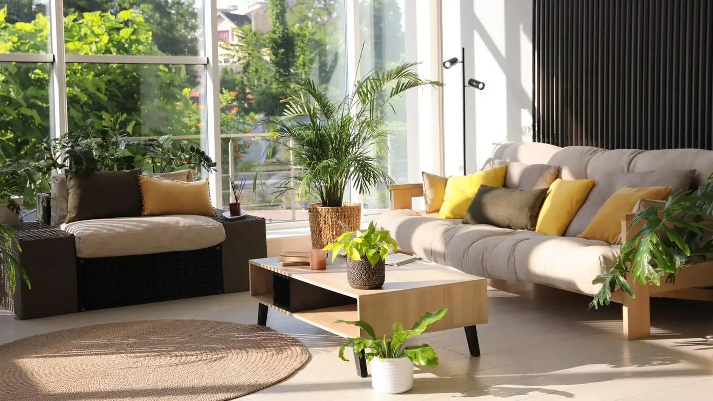 stan na prodaju Sremska Kamenica, 145m2 524026