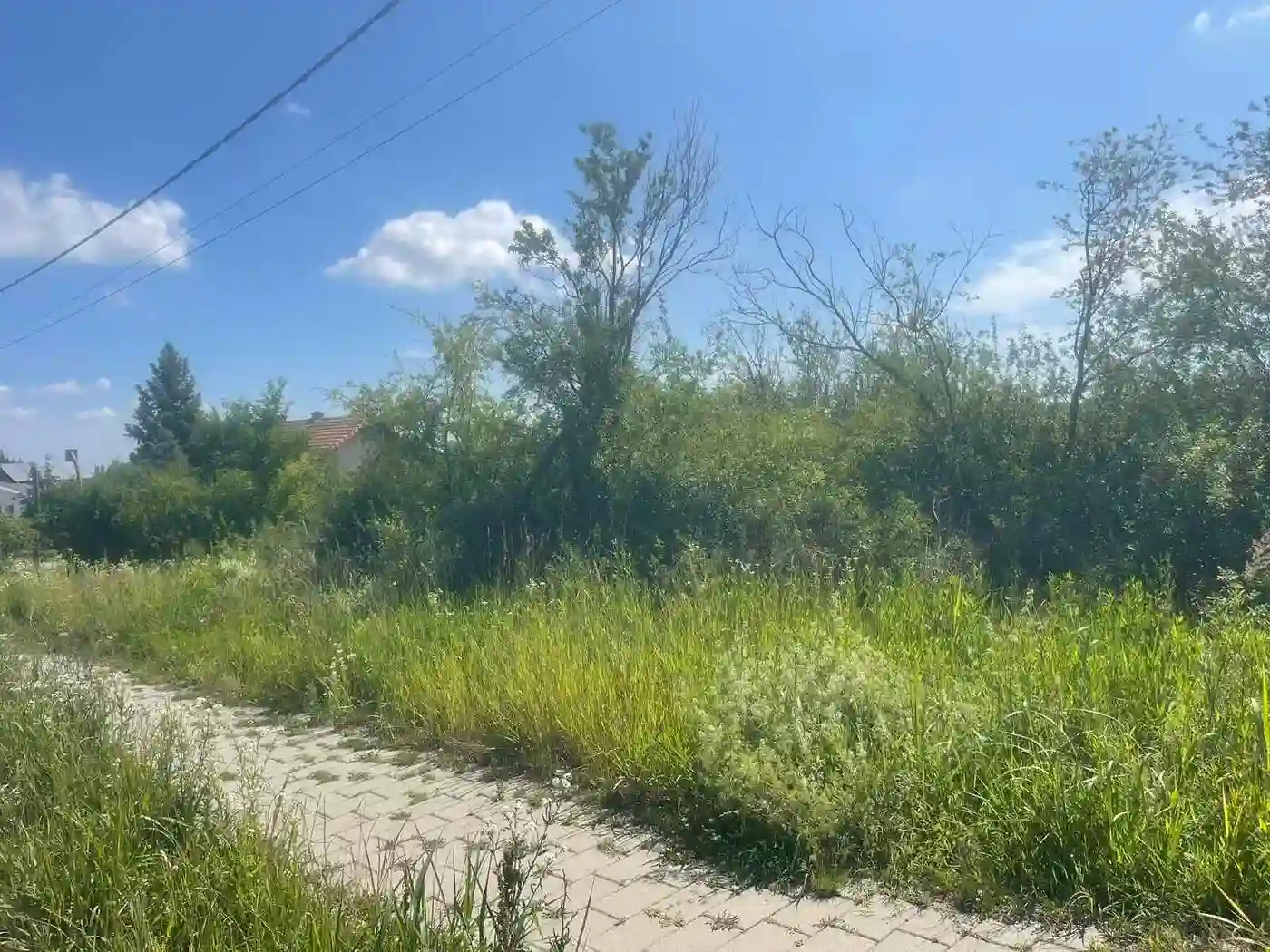 plac na prodaju Sremska Kamenica 3558m2 529771