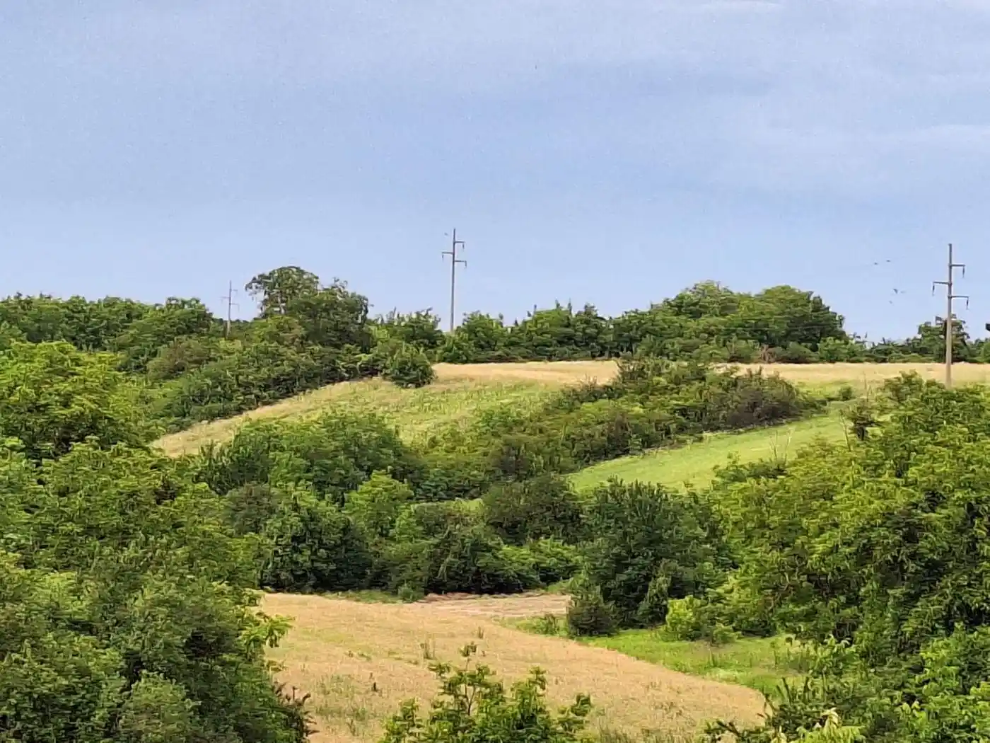 plac na prodaju Petrovaradin, 1158m2 529894