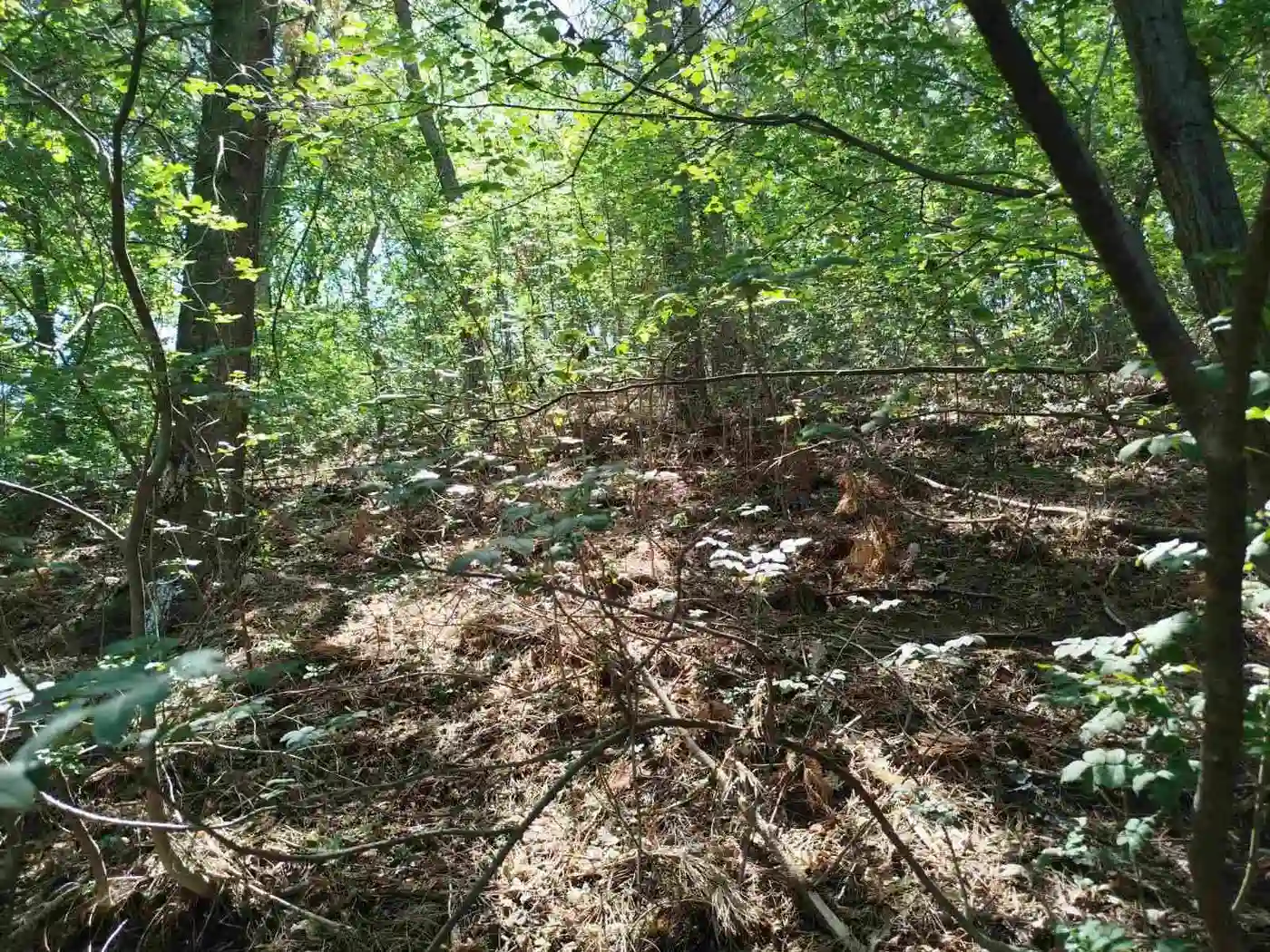 plac na prodaju Sremska Kamenica 2590m2 529958