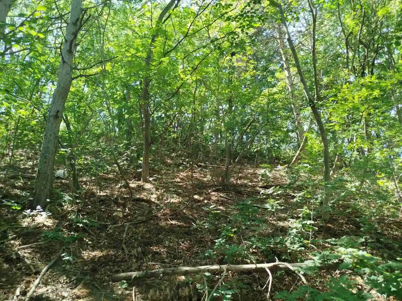 plac na prodaju Sremska Kamenica 2590m2 529958