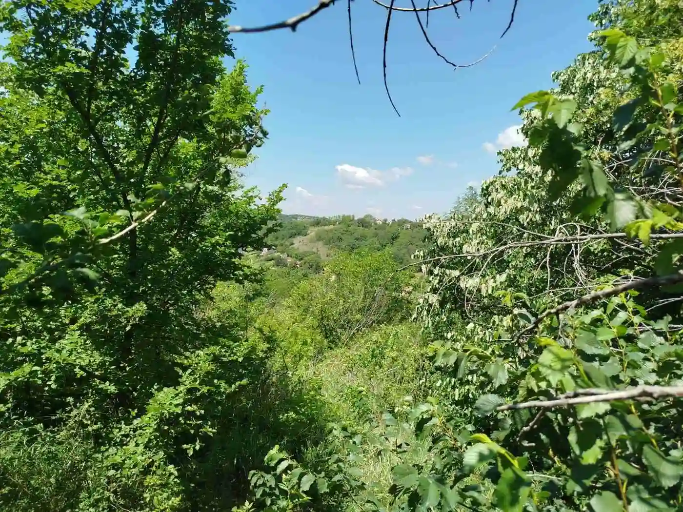 plac na prodaju Sremska Kamenica 2590m2 529958