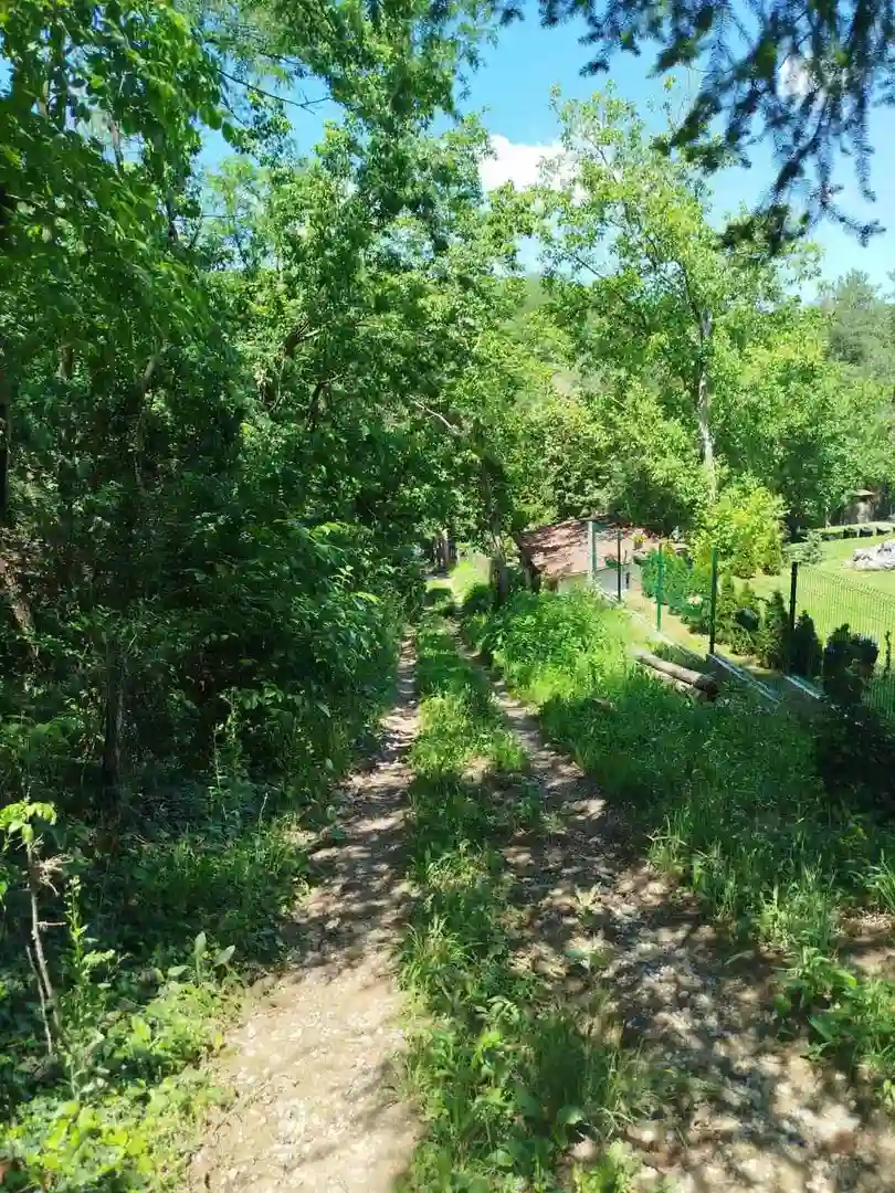 plac na prodaju Sremska Kamenica 2590m2 529958