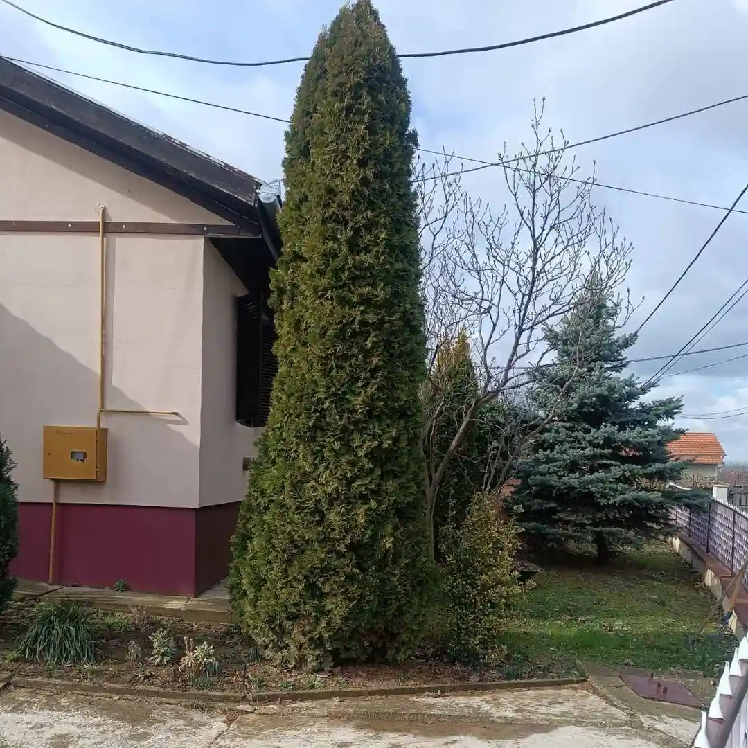 kuca na prodaju Čerević 58m2 530037