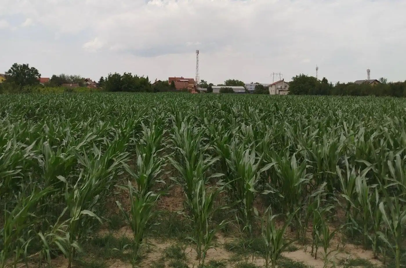 plac na prodaju Veternik 723m2 527645