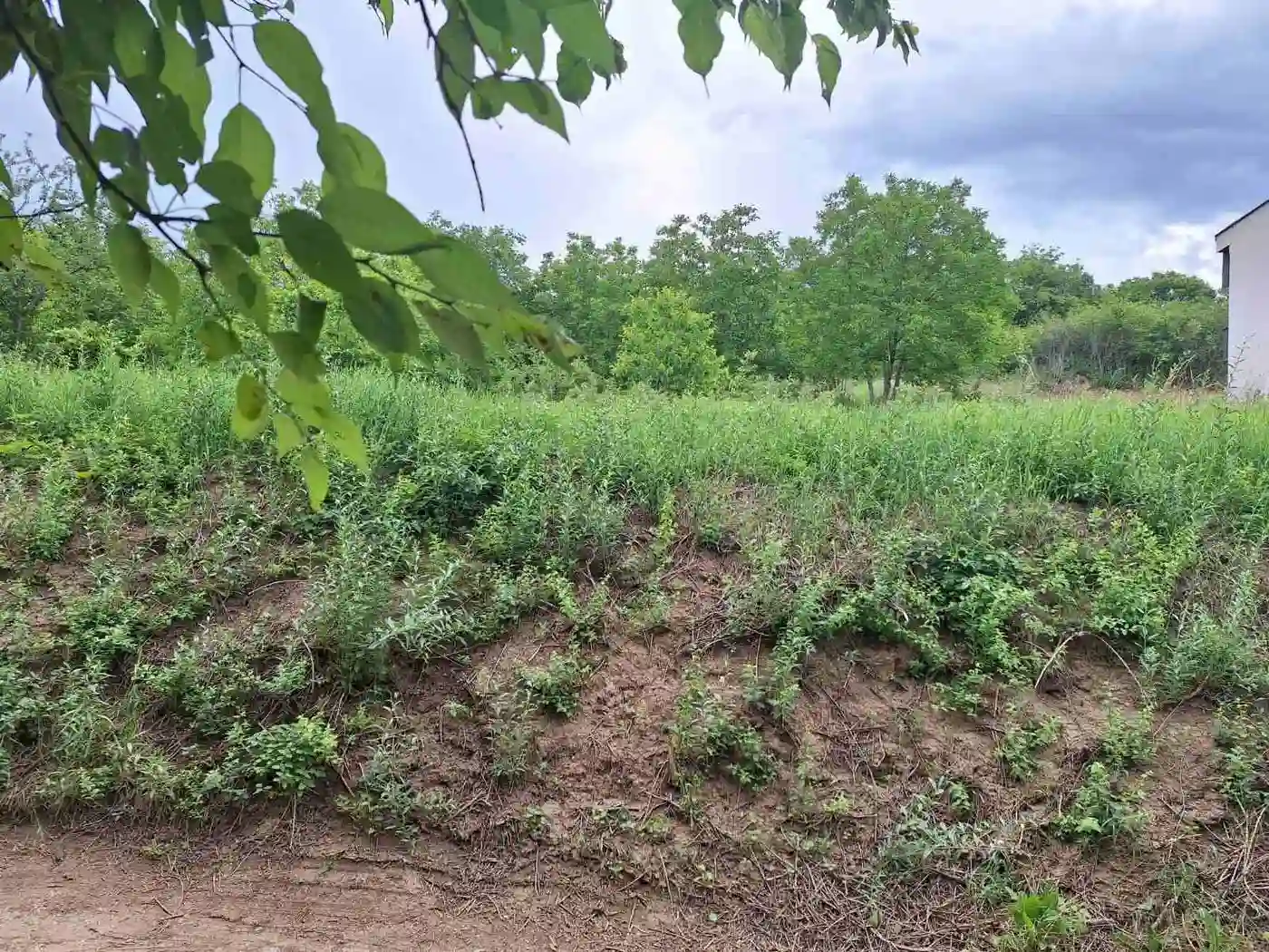 plac na prodaju Petrovaradin 742m2 530154