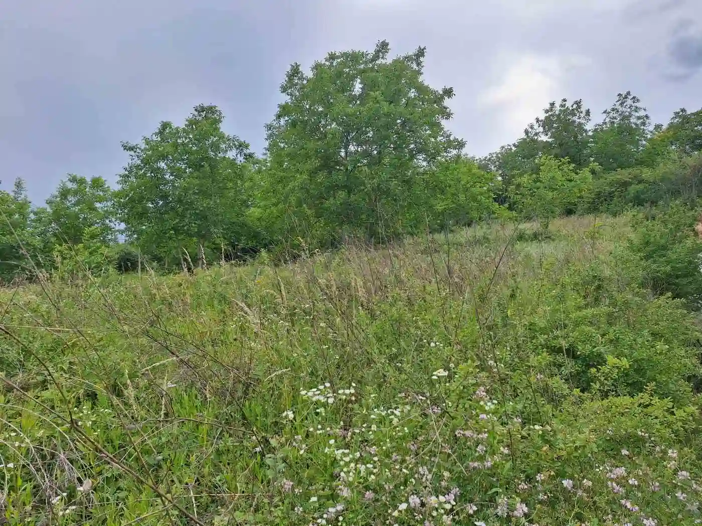 plac na prodaju Petrovaradin, 834m2 530155