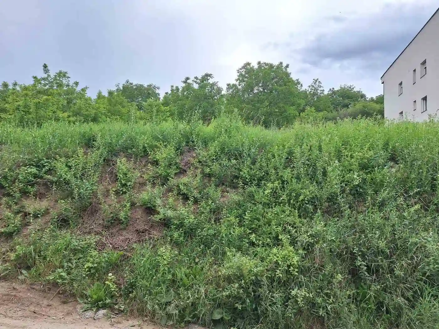 plac na prodaju Petrovaradin, 742m2 530154