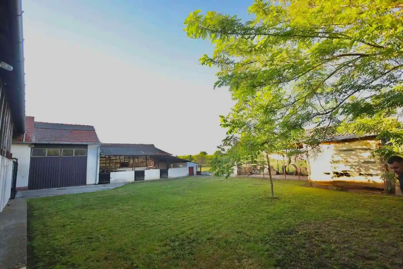 kuca na prodaju Čurug 150m2 530341