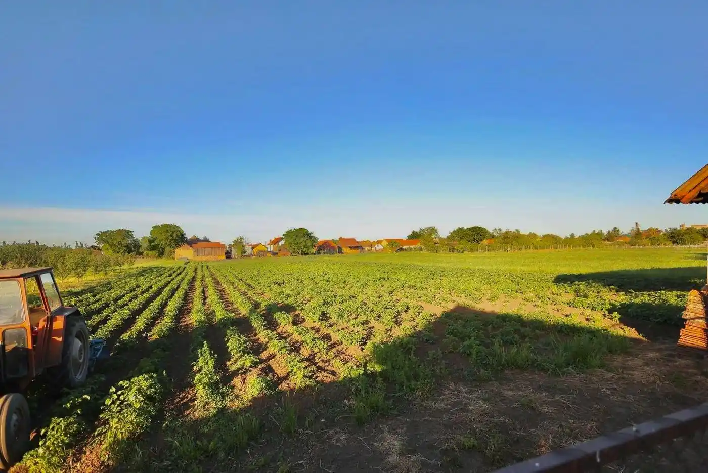 kuca na prodaju Čurug 150m2 530341