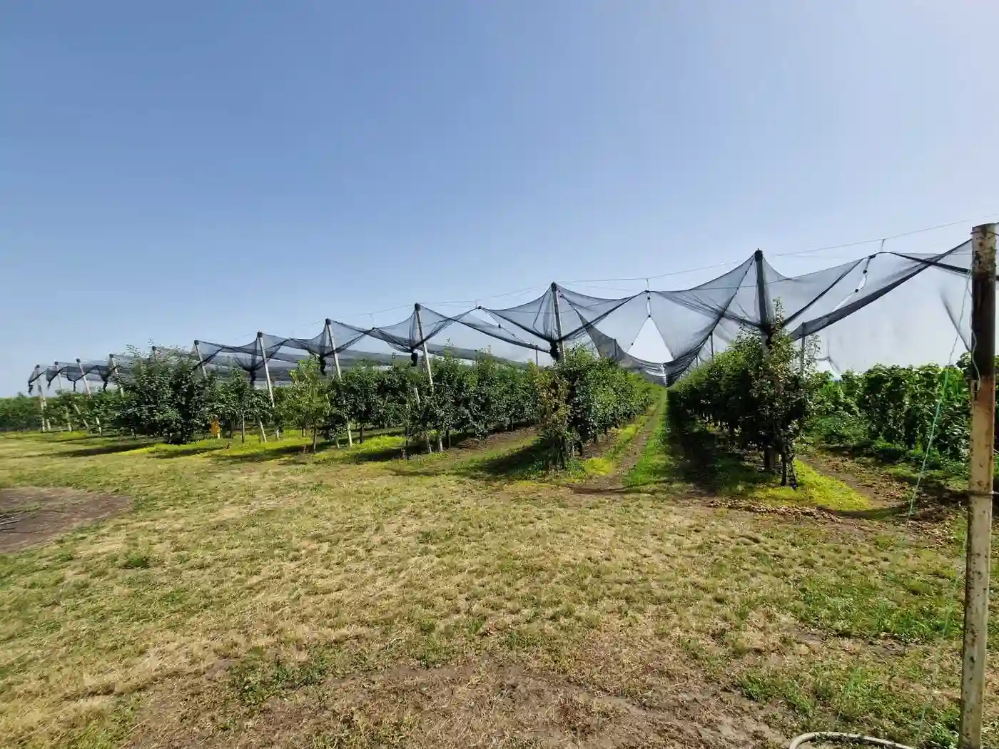 plac na prodaju Temerin 22720m2 530725