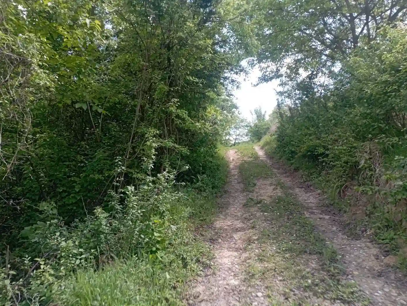 plac na prodaju Sremska Kamenica 540m2 530775