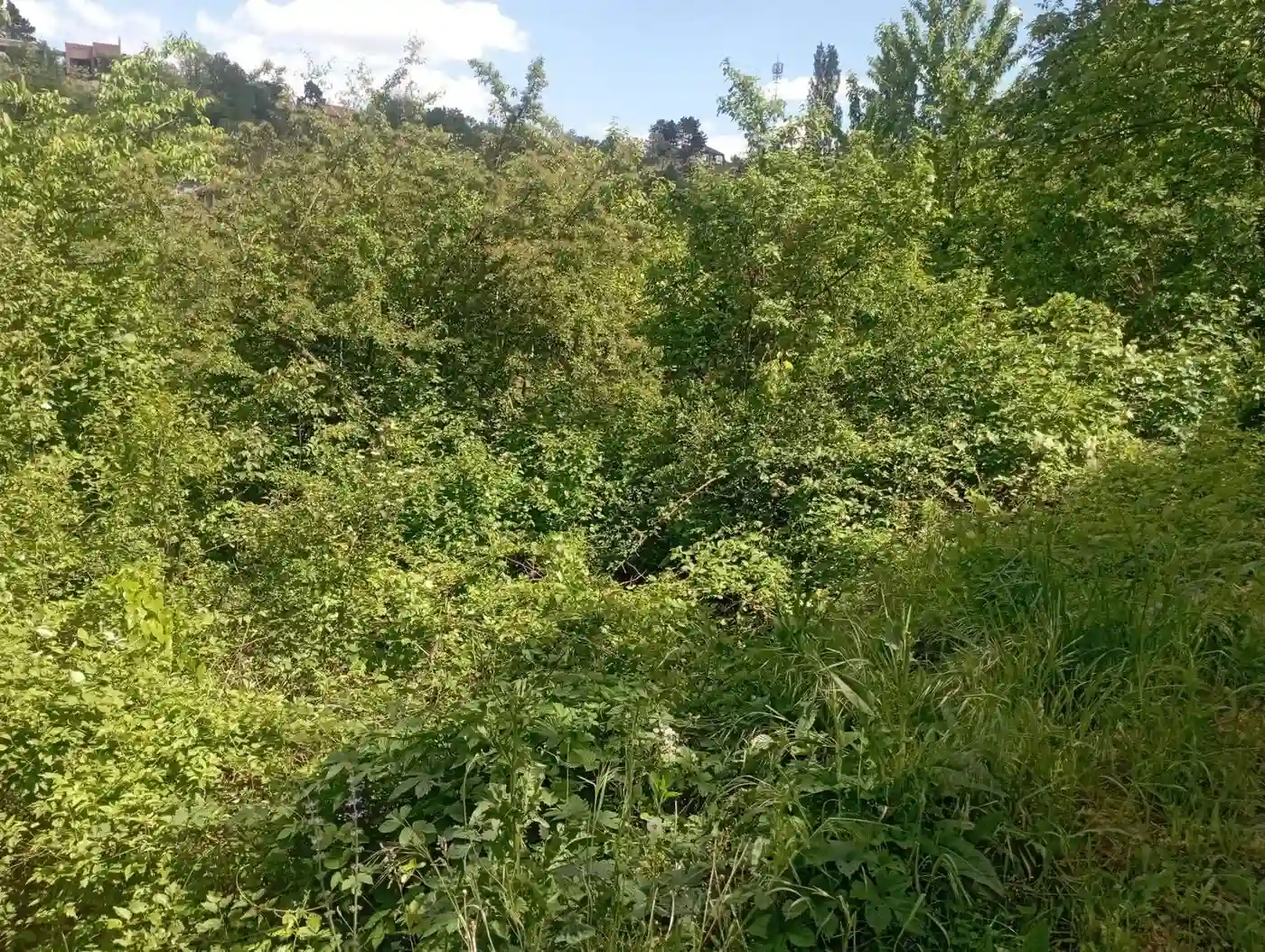 plac na prodaju Sremska Kamenica 540m2 530775