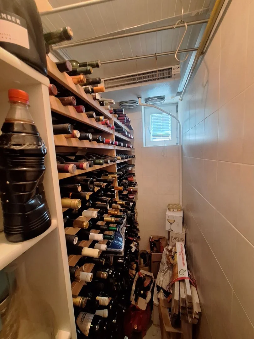 kuca na prodaju Novi Sad 177m2 530068