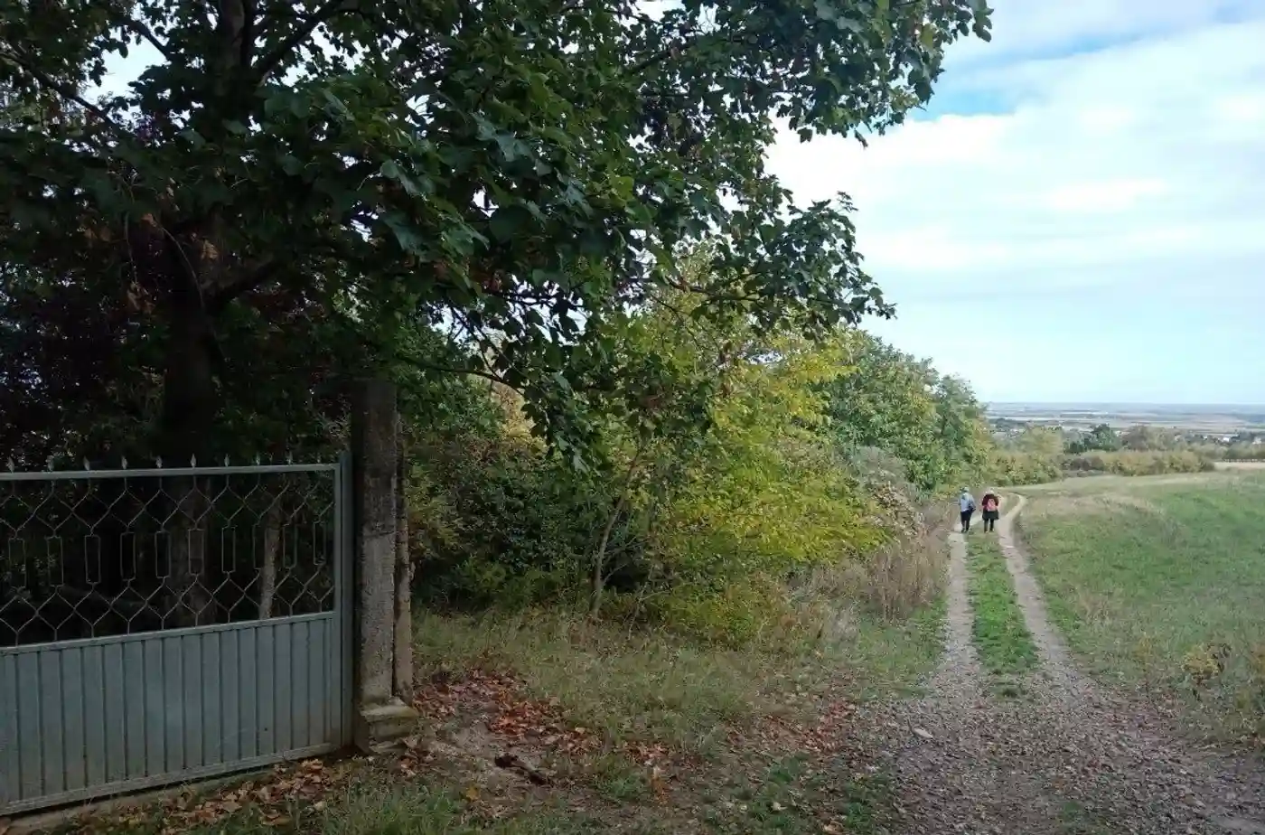 plac na prodaju Irig, 2354m2 531133