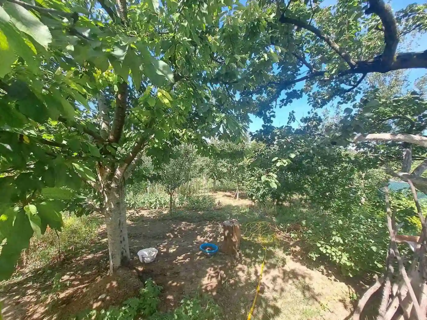 plac na prodaju Sremska Kamenica 1005m2 531481