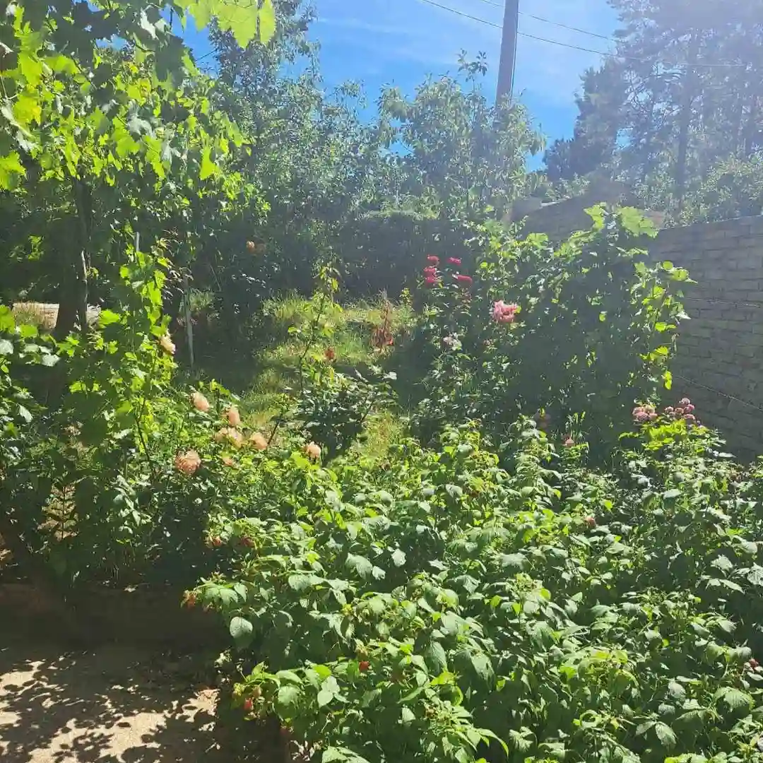 plac na prodaju Sremska Kamenica 1005m2 531481