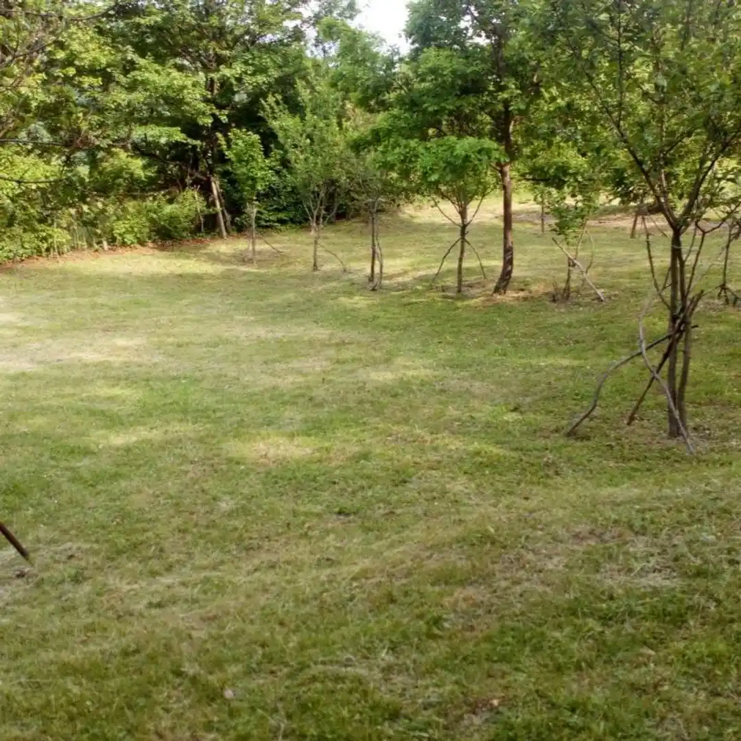 plac na prodaju Ledinci, 2008m2 532025