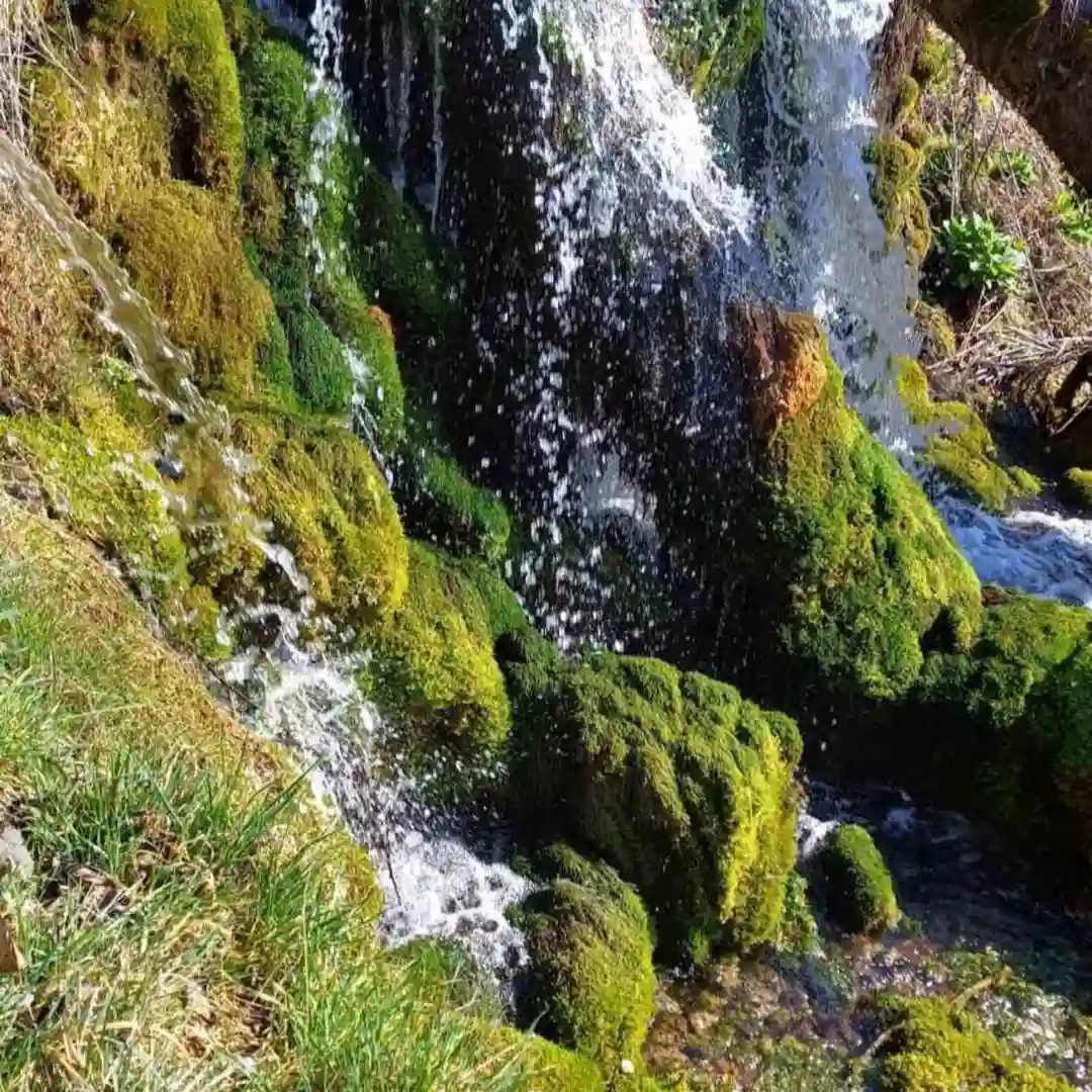 plac na prodaju Gadžin Han 10321m2 531940