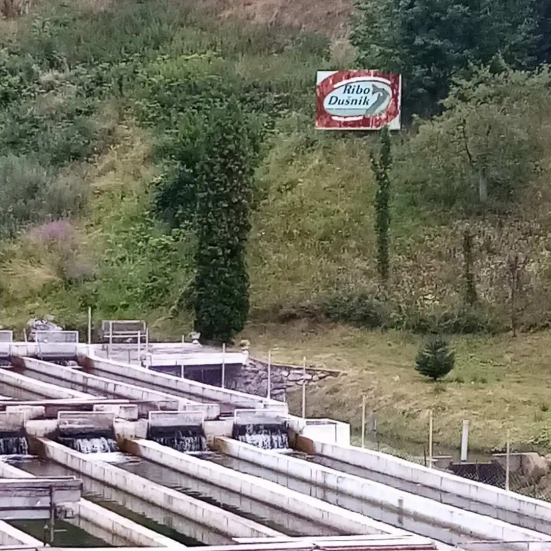 plac na prodaju Gadžin Han 10321m2 531940