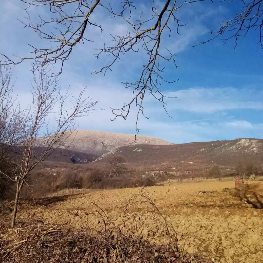 plac na prodaju Gadžin Han 10321m2 531940