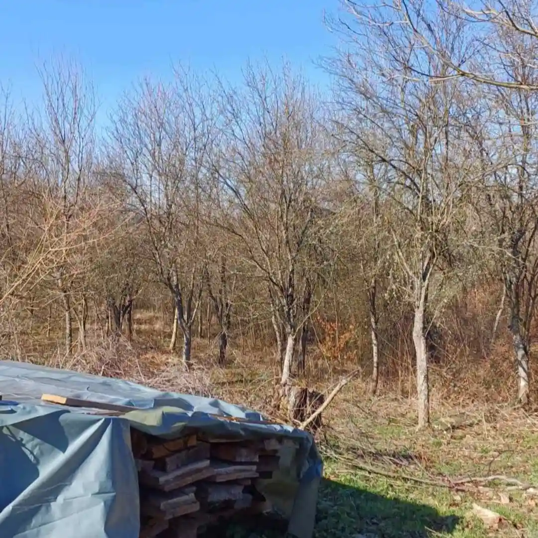 plac na prodaju Gadžin Han 10321m2 531940