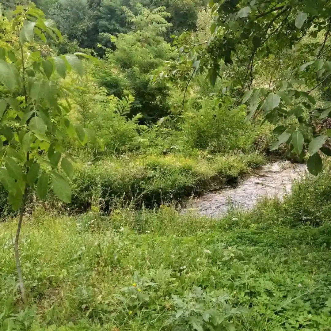 plac na prodaju Gadžin Han 10321m2 531940