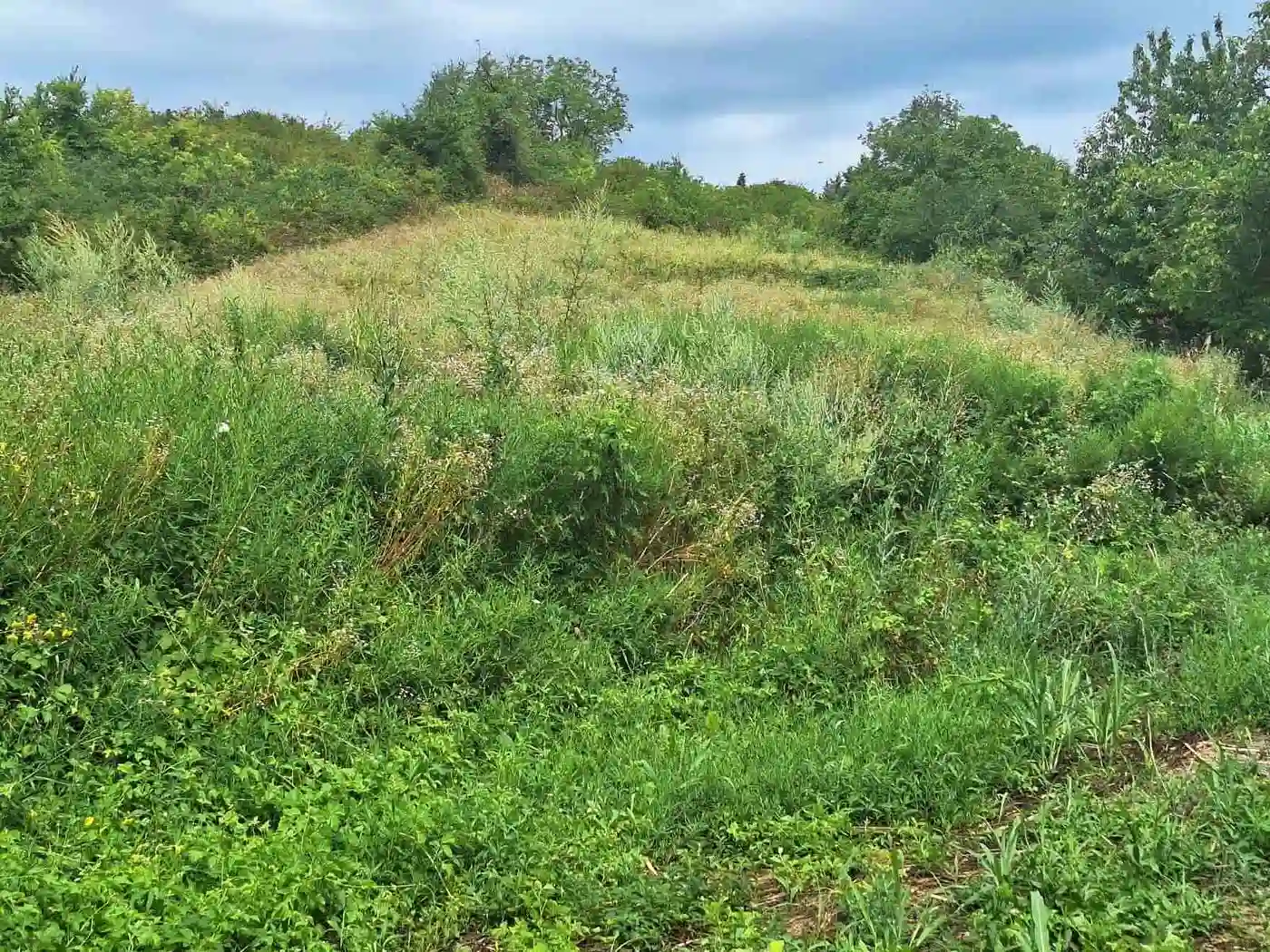 plac na prodaju Petrovaradin 3449m2 530205