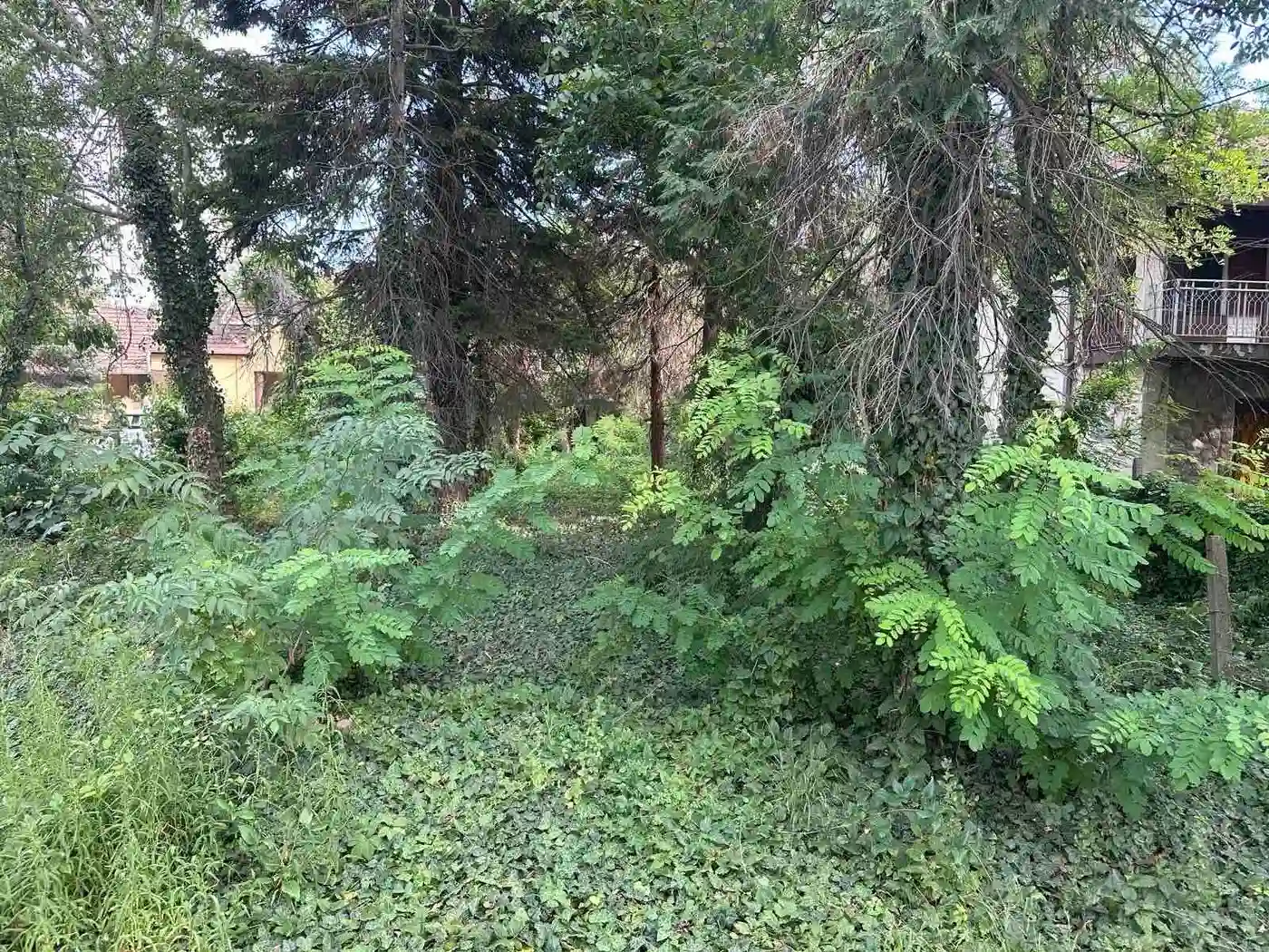 kuca na prodaju Sremska Kamenica 72m2 532229