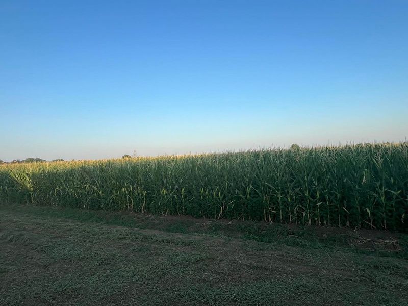 plac na prodaju Budisava 736m2 532265