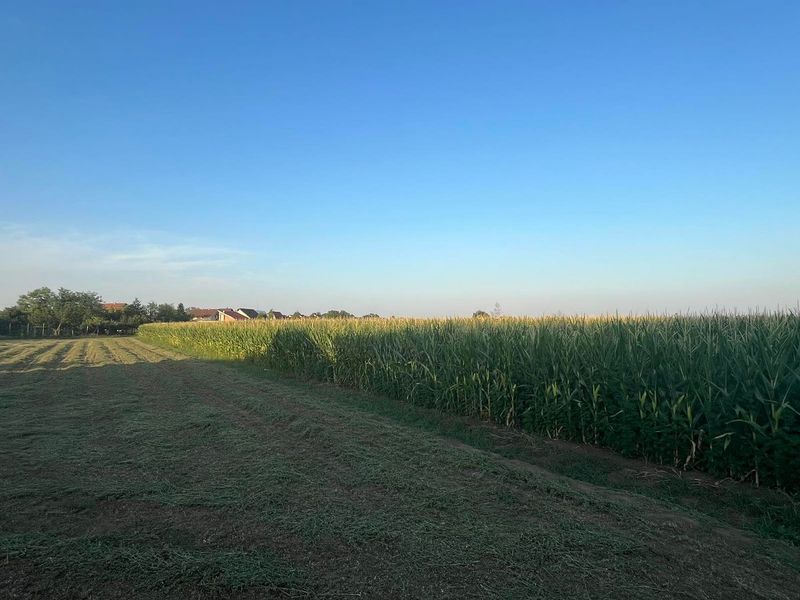 plac na prodaju Budisava, 736m2 532265