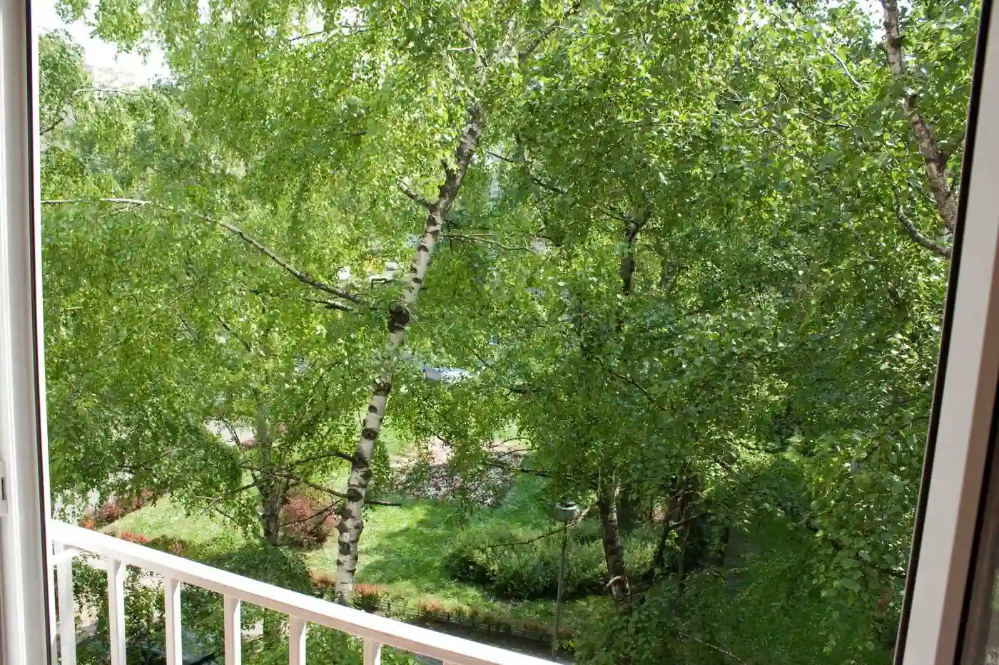 stan na prodaju Novi Sad 30m2 532293