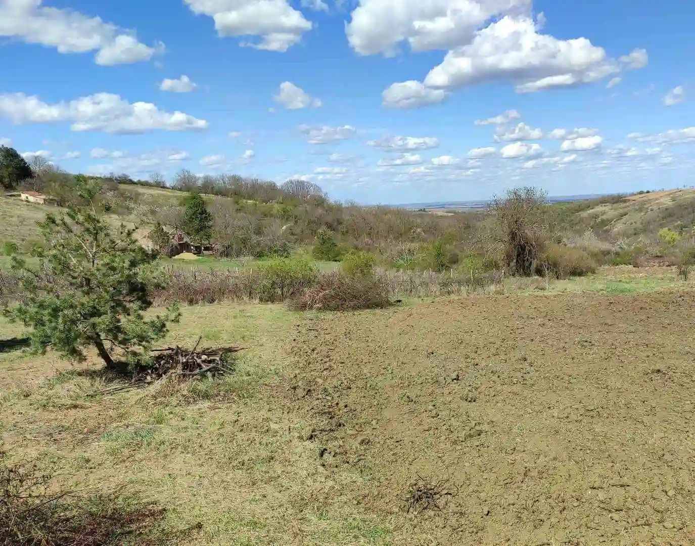 plac na prodaju Sremski Karlovci 987m2 532281