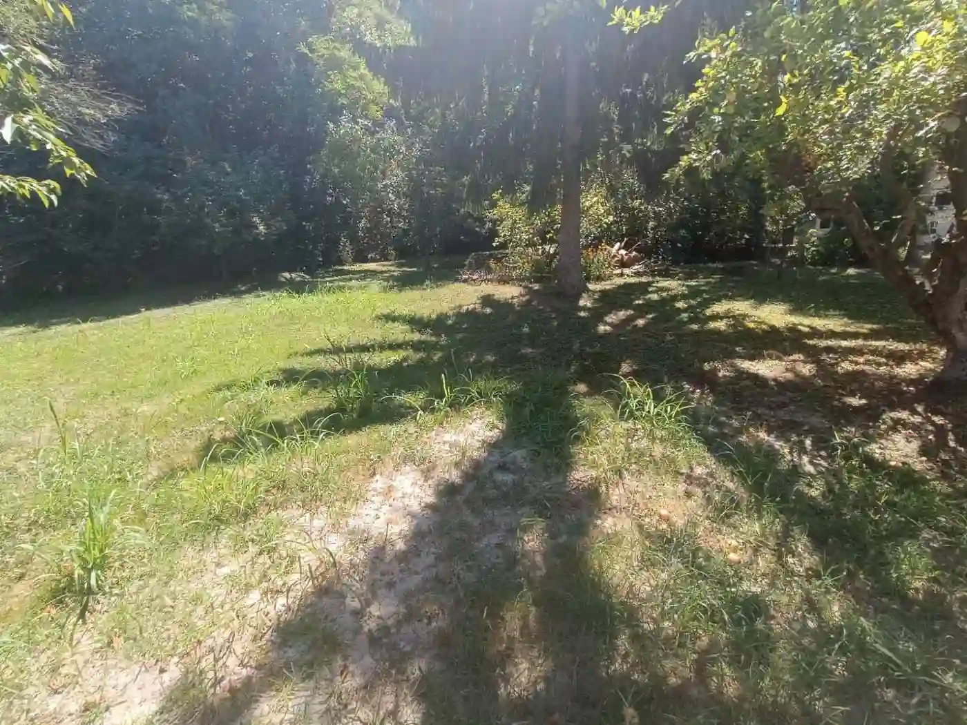 kuca na prodaju Banoštor 50m2 532649