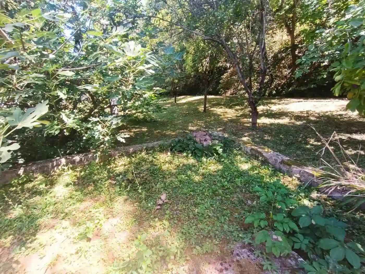 kuca na prodaju Banoštor 50m2 532649