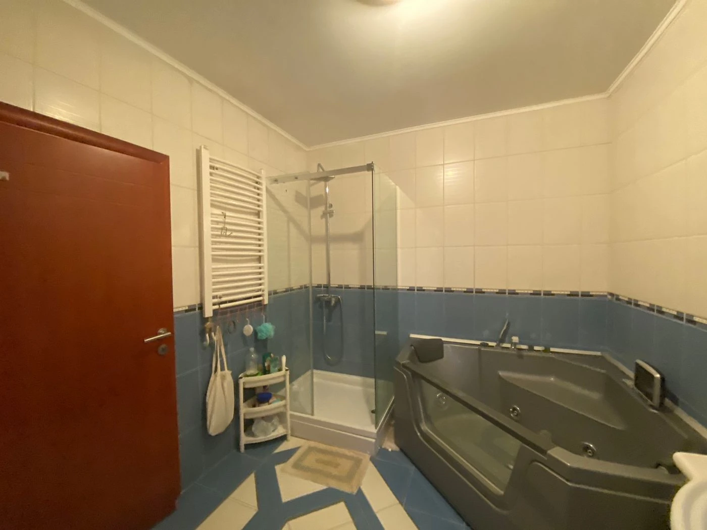kuca na prodaju Novi Sad 253m2 532365