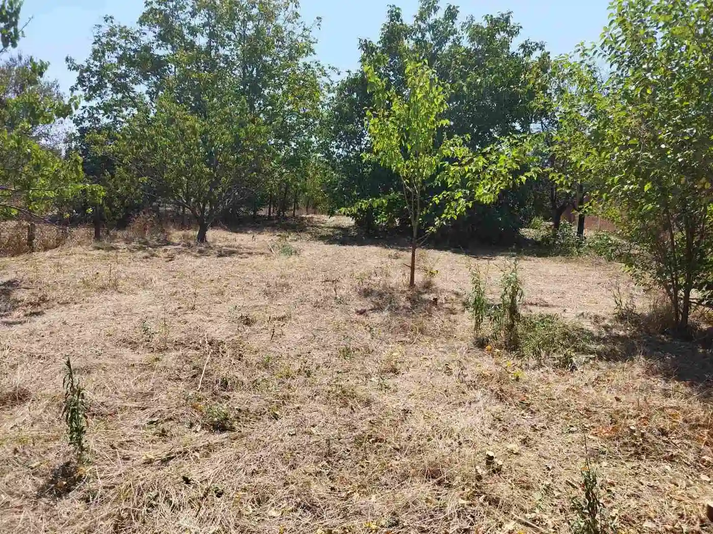 kuca na prodaju Žabalj 104m2 532628