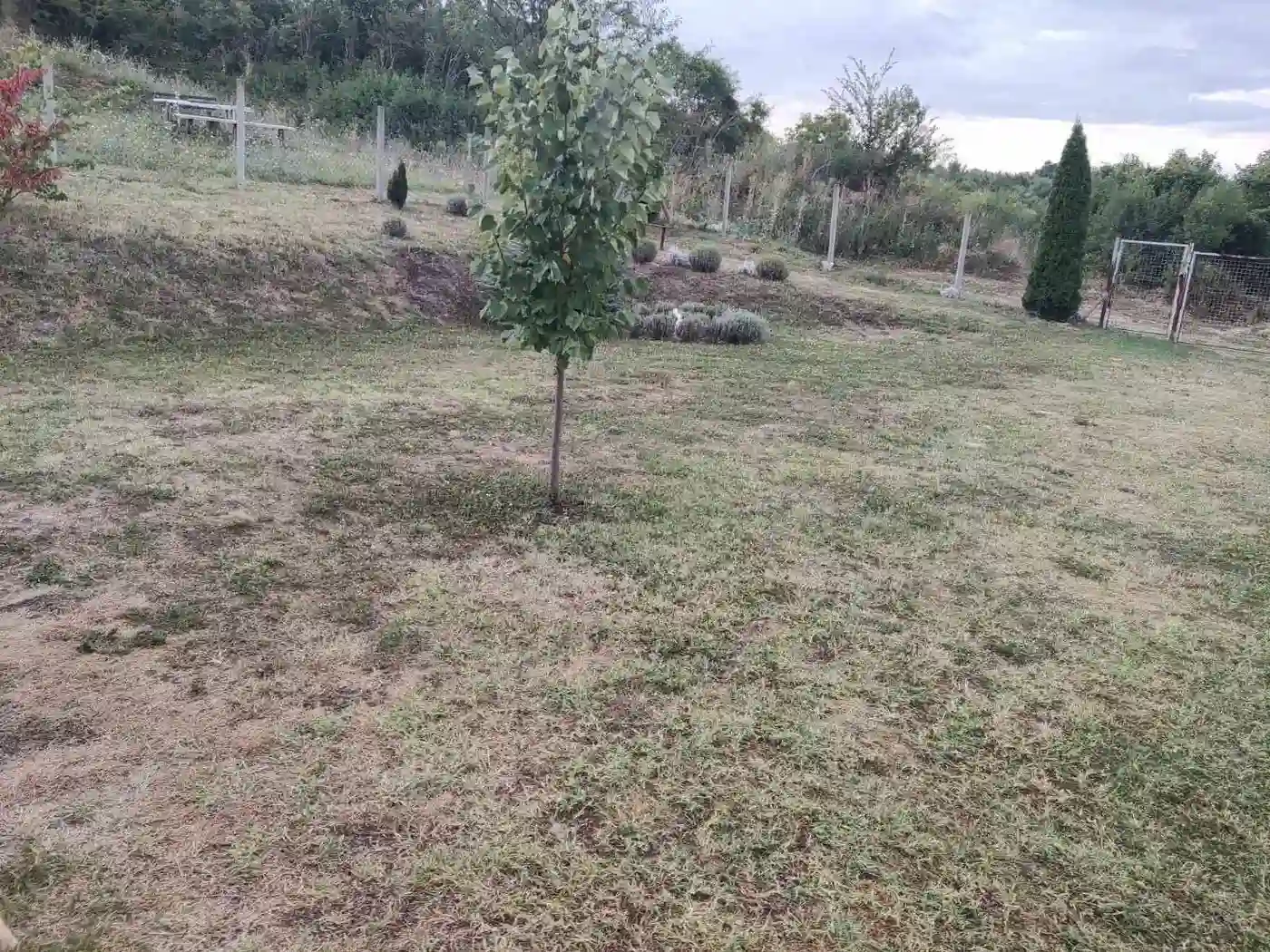 kuca na prodaju Vrdnik 63m2 532769
