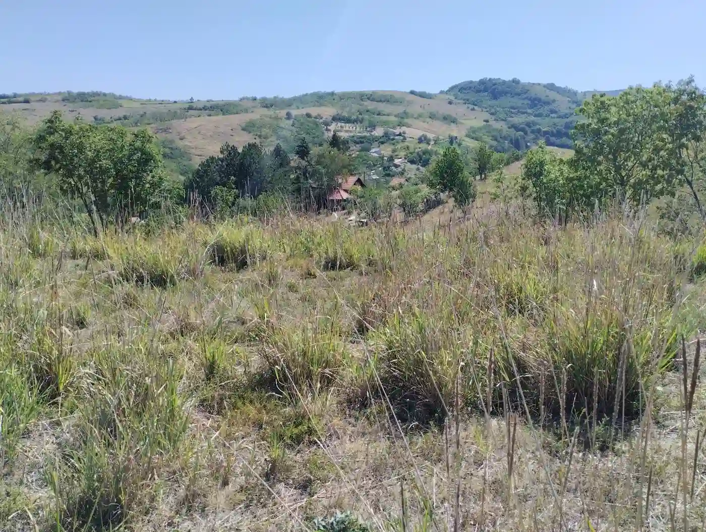 plac na prodaju Beočin, 7205m2 553233