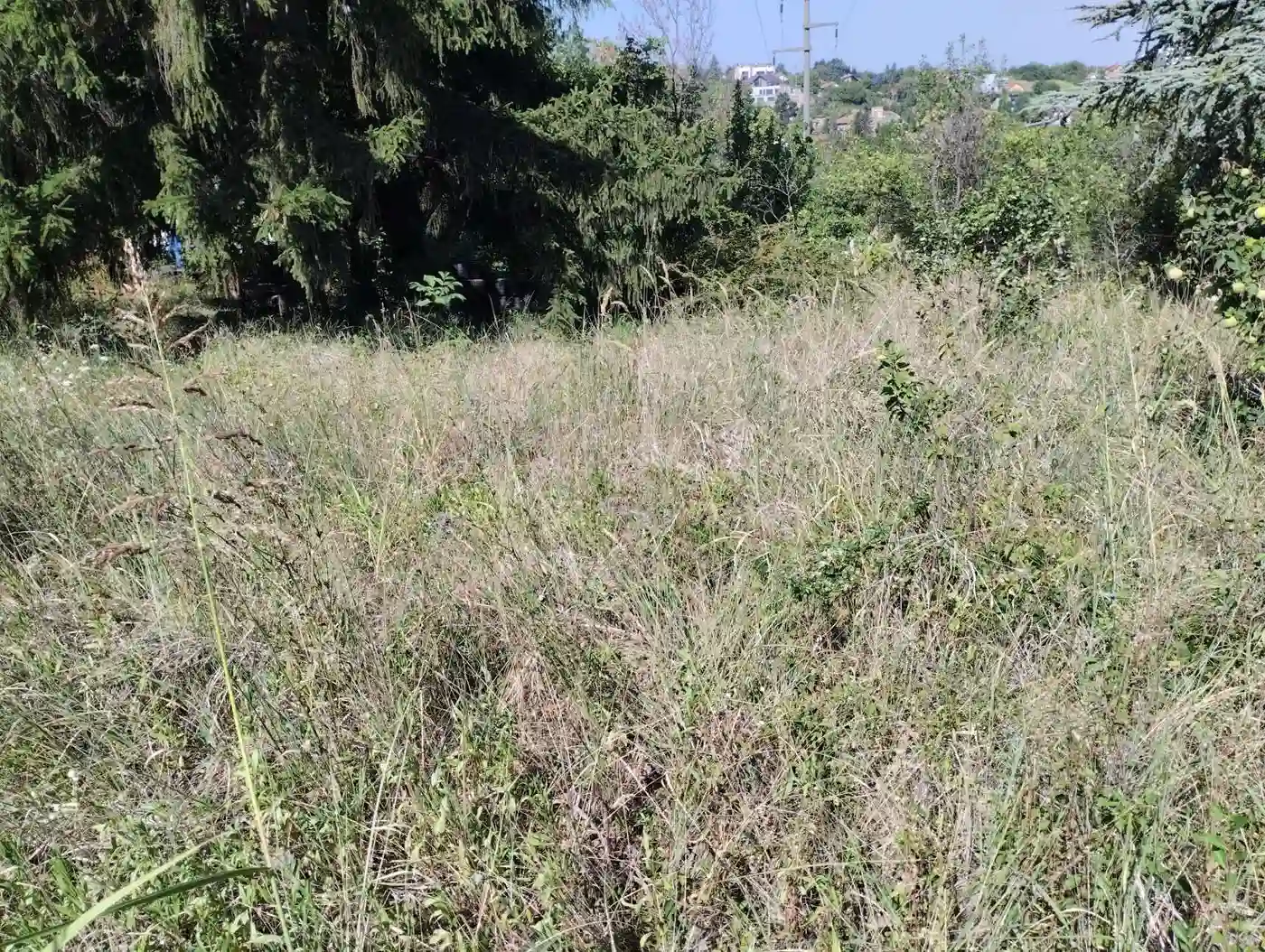 plac na prodaju Sremska Kamenica 1851m2 553244