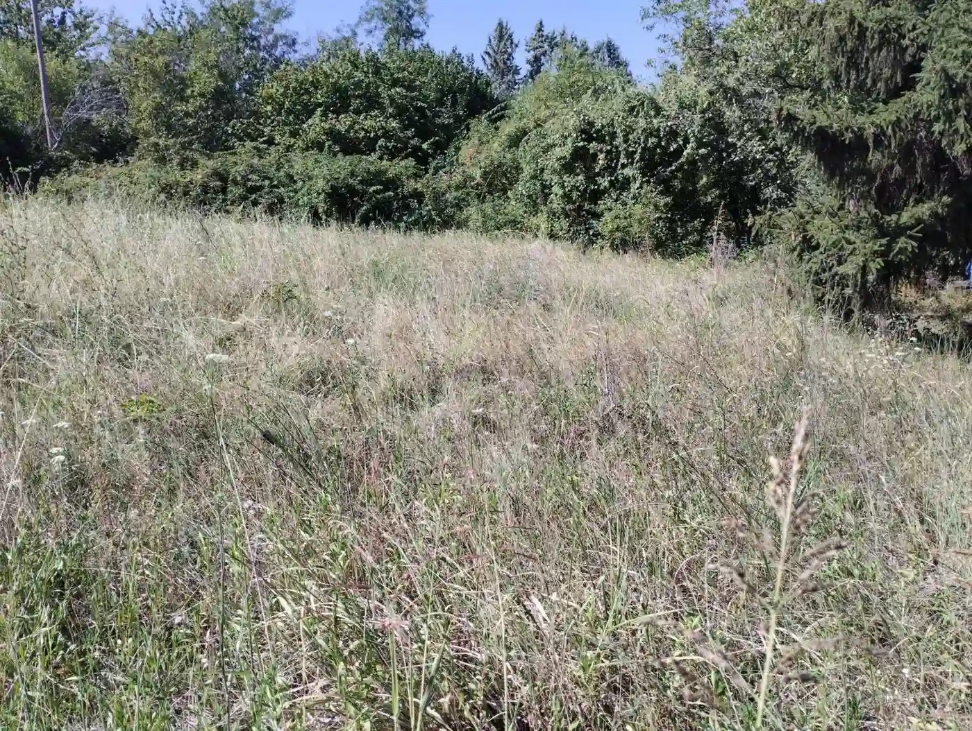 plac na prodaju Sremska Kamenica 1851m2 553244