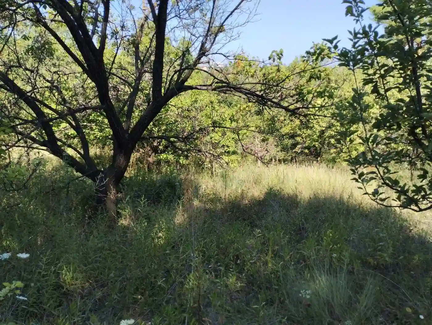 plac na prodaju Sremska Kamenica 1851m2 553244