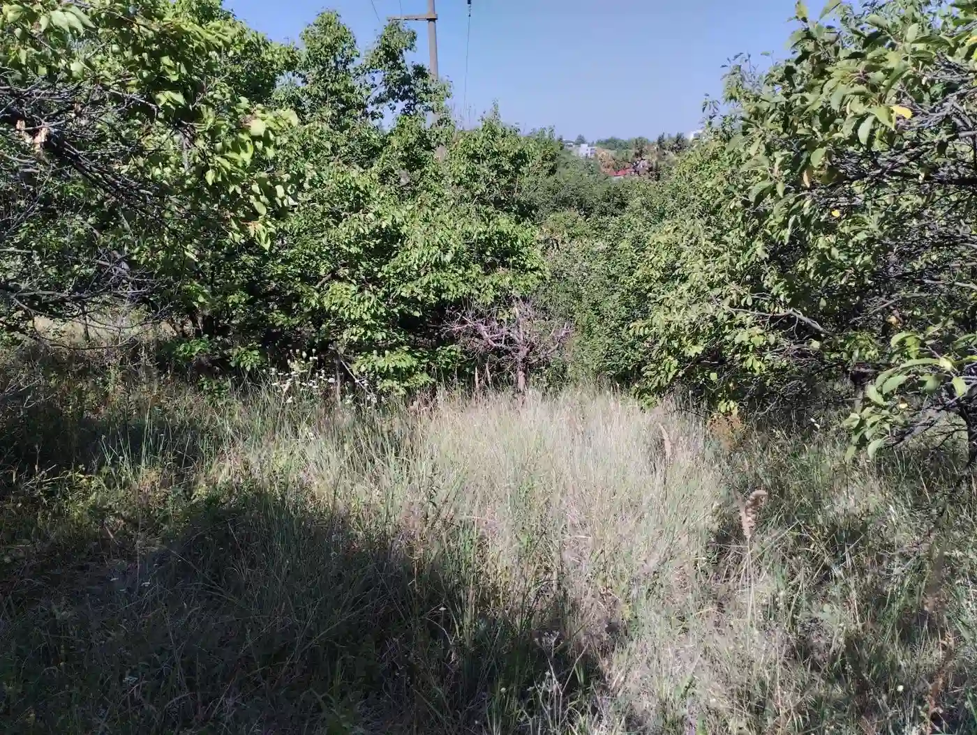 plac na prodaju Sremska Kamenica 1851m2 553244