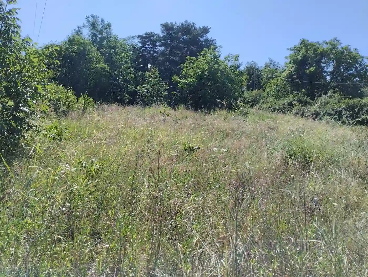 plac na prodaju Sremska Kamenica 1851m2 553244