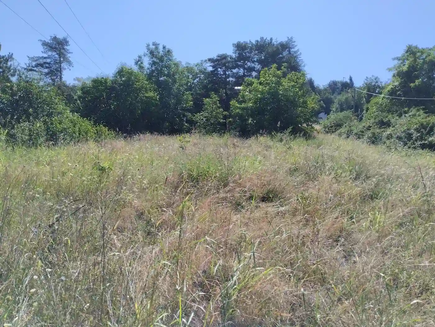 plac na prodaju Sremska Kamenica 1851m2 553244