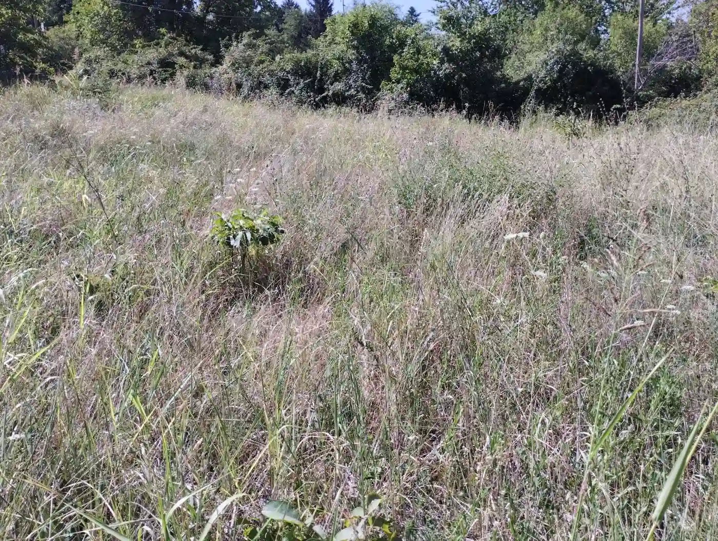 plac na prodaju Sremska Kamenica 1851m2 553244