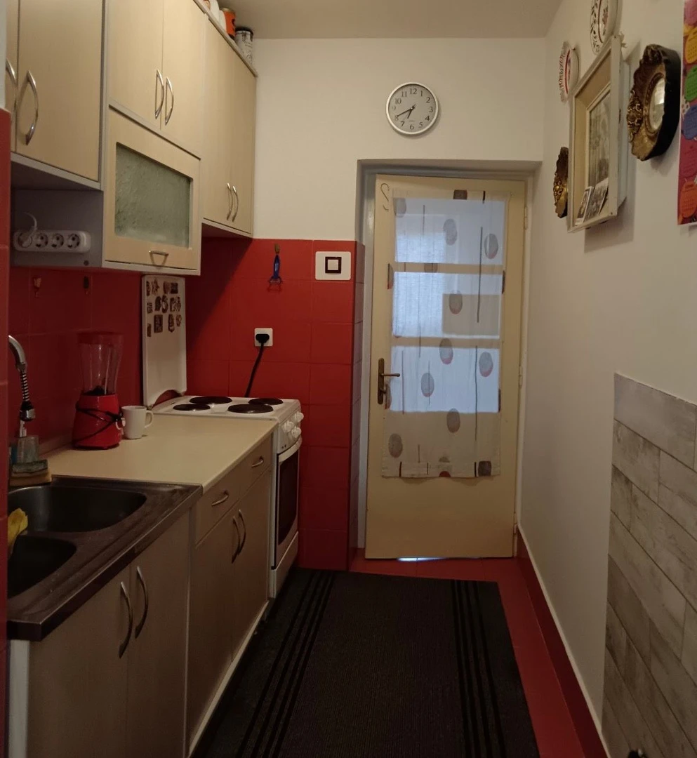 stan na prodaju Novi Sad 48m2 529743